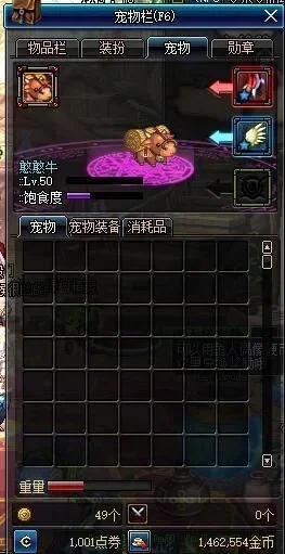 DNF宠物装备拍卖行购买与使用指南
