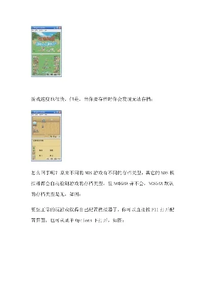 NDS游戏汉化全攻略：操作步骤、技术难点及工具使用详解