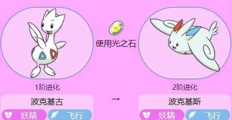 波克比进化攻略：亲密度提升与光之石进化解析