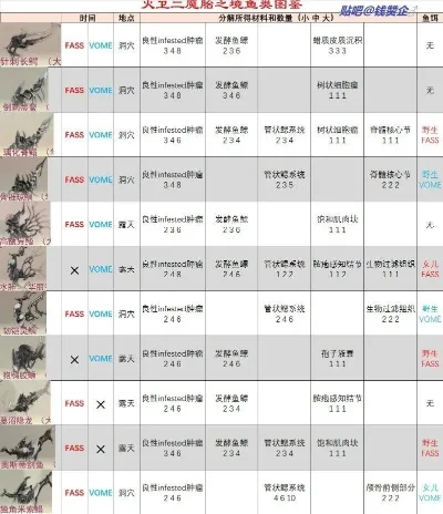 星际战甲I系狗孵化攻略：感染升级与孵化步骤详解