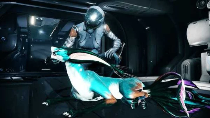星际战甲蛔虫装置详解：捕捉Tenno、影响防御及操作技巧