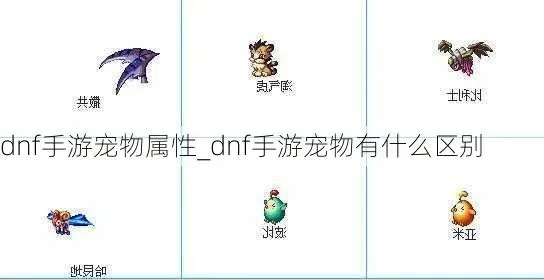 dnf手游宠物不显示-DNF宠物不显示原因分析